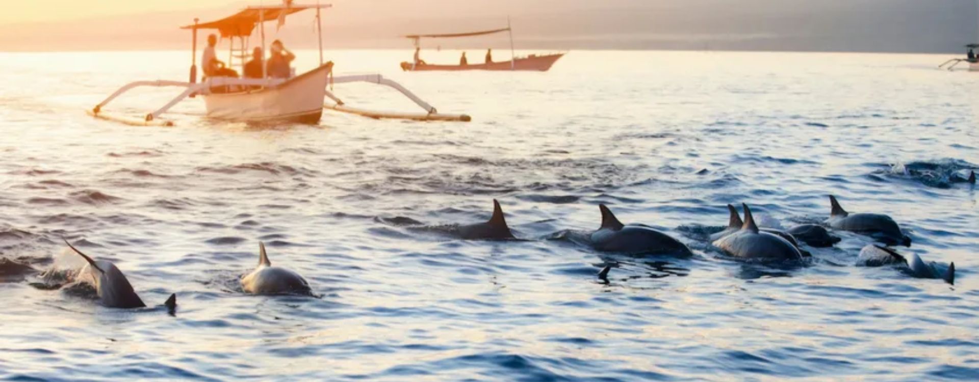 Sunrise Dolphin Plus Snorkling at Lovina Beach