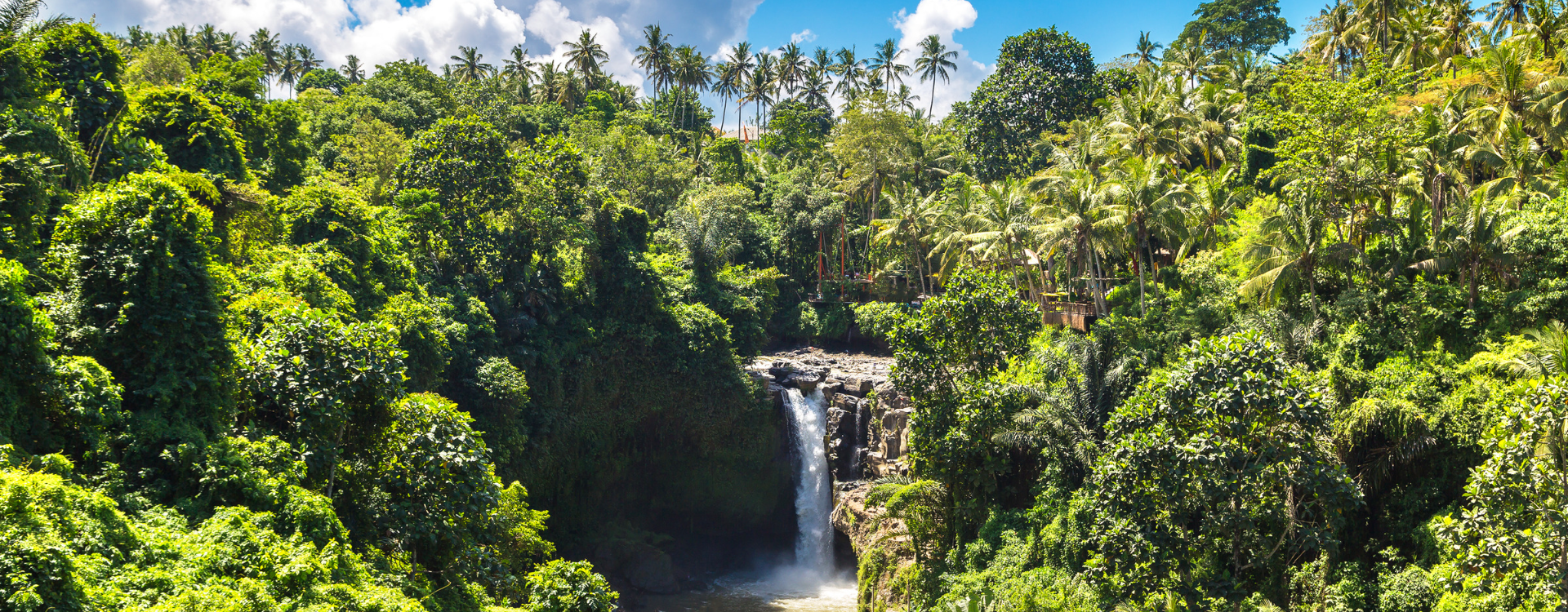 Explore Insta Waterfall in Bali