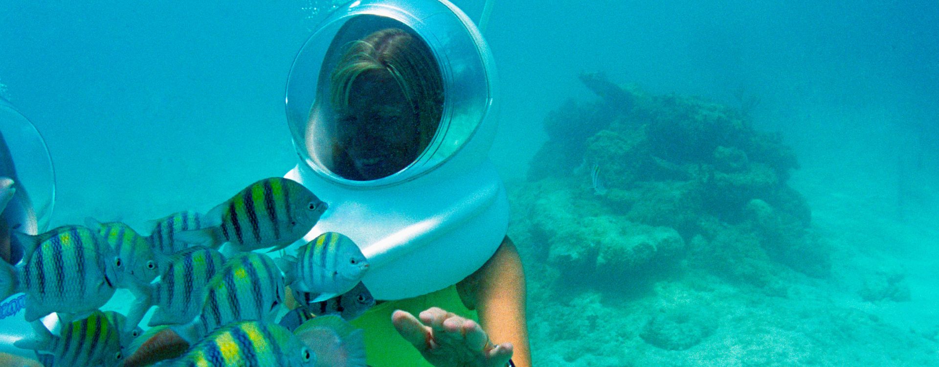 Underwater Adventure and Uluwatu Sunset Jimbaran Dinner