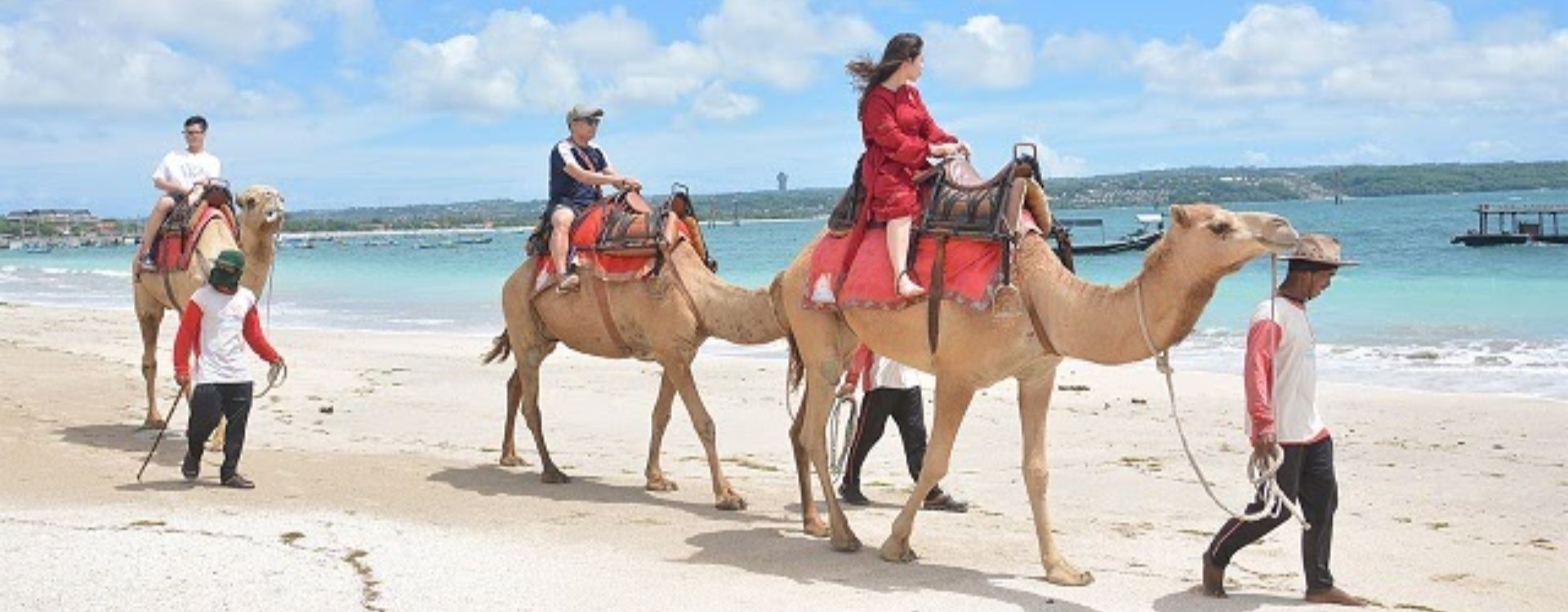 Bali Camel Ride Experience and Romantic Sunset Dinner