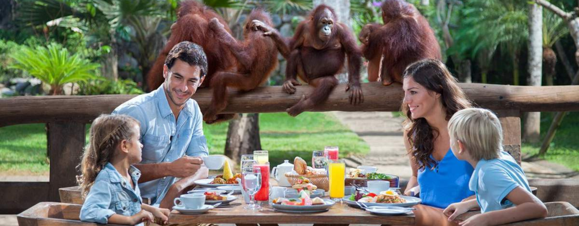 Breakfast With Orangutans and Ubud Swing Experiences